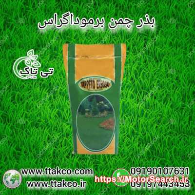 بذر چمن برموداگراس ، تخم چمن - 09197443453